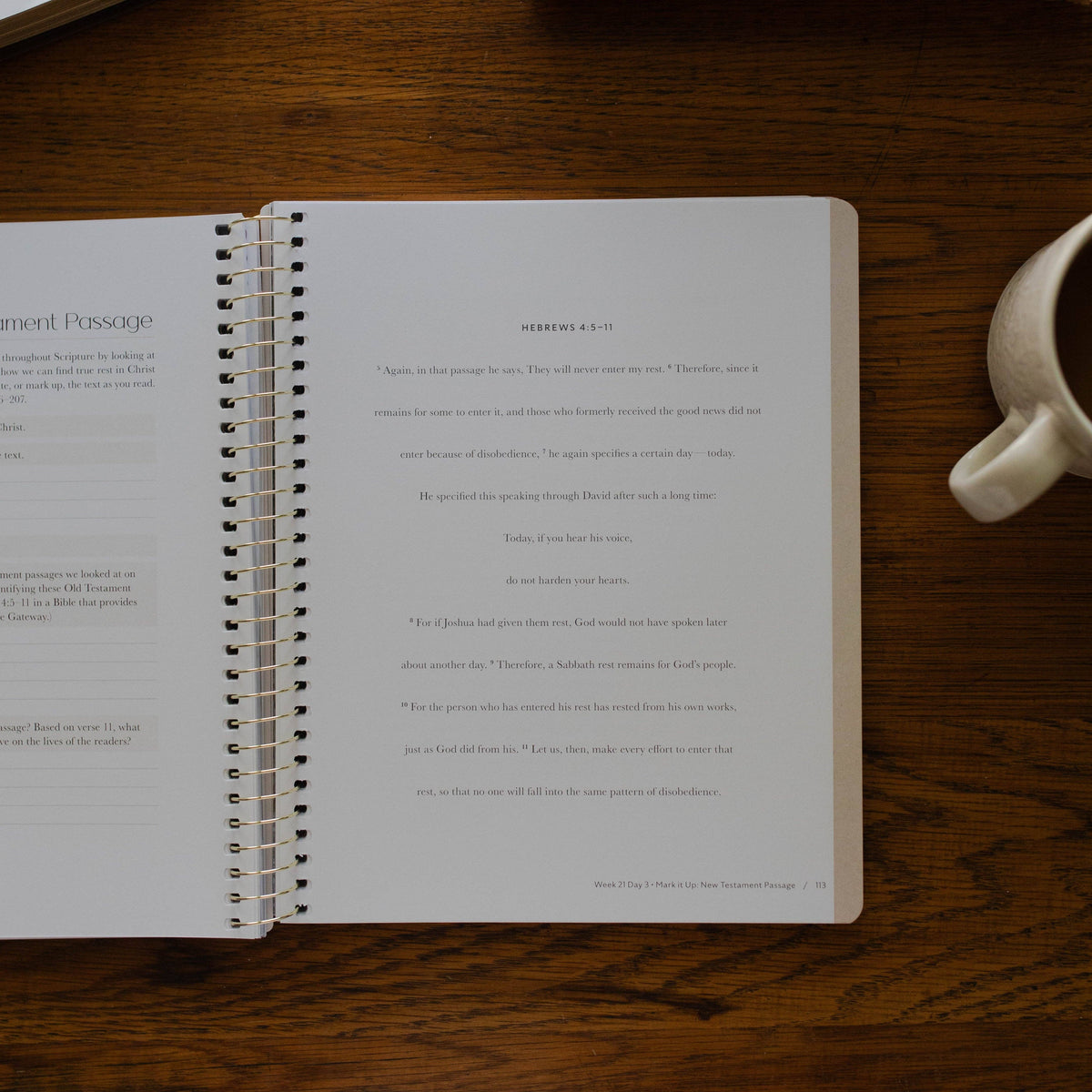 Christ in All of Scripture | Volume 2 Bible Study 