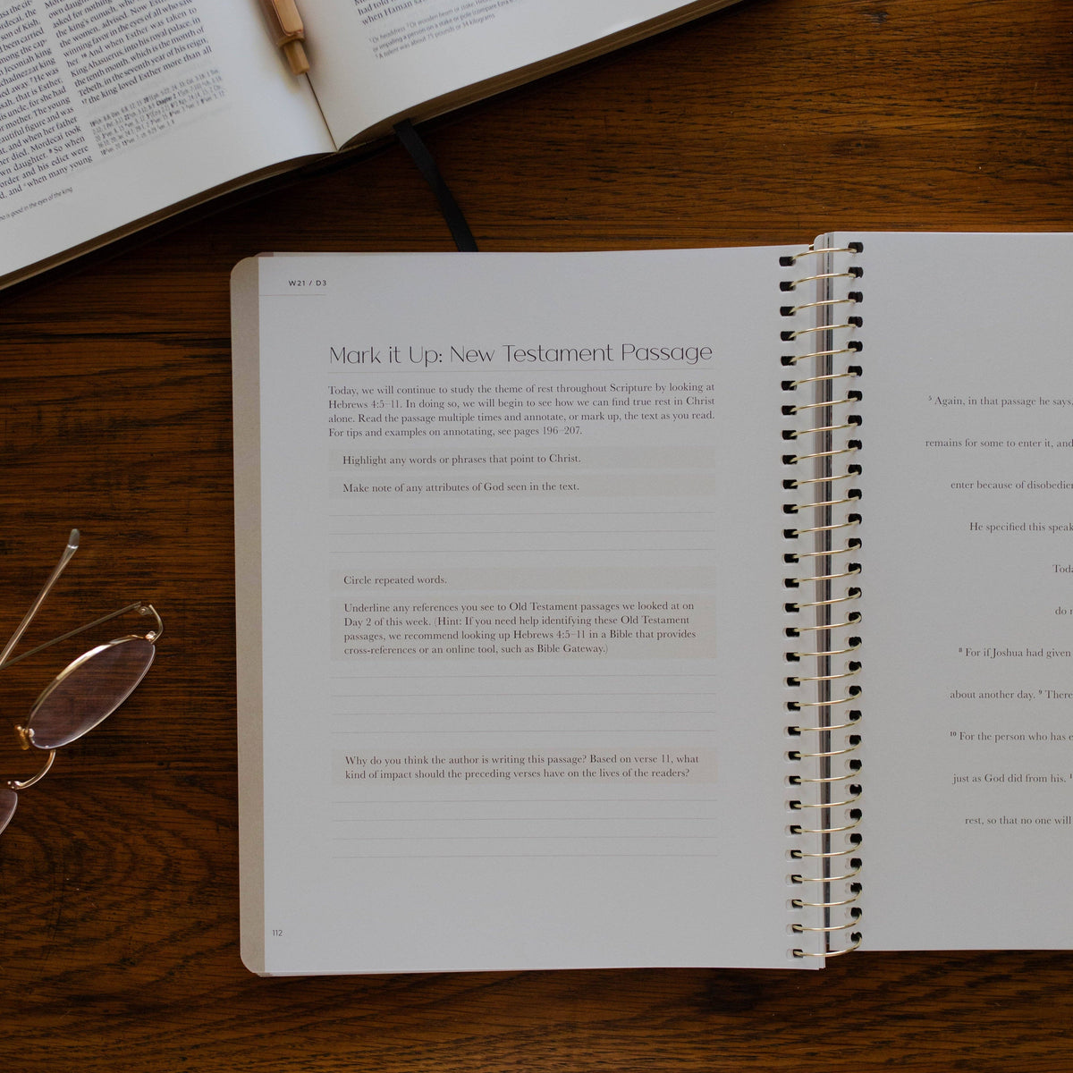 Christ in All of Scripture | Volume 2 Bible Study 