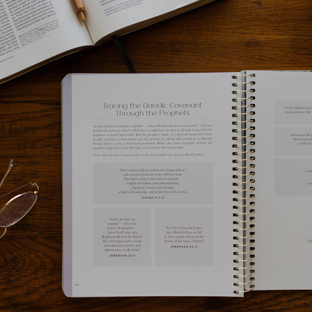 Christ in All of Scripture | Volume 2 Bible Study 