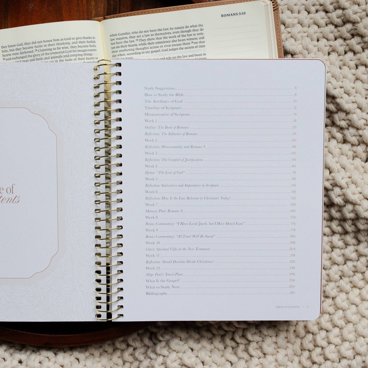 In Christ Alone Bible Study