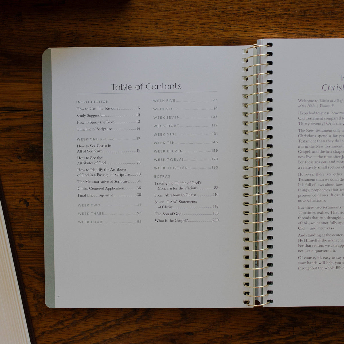 Christ in All of Scripture | Volume 1 Bible Study