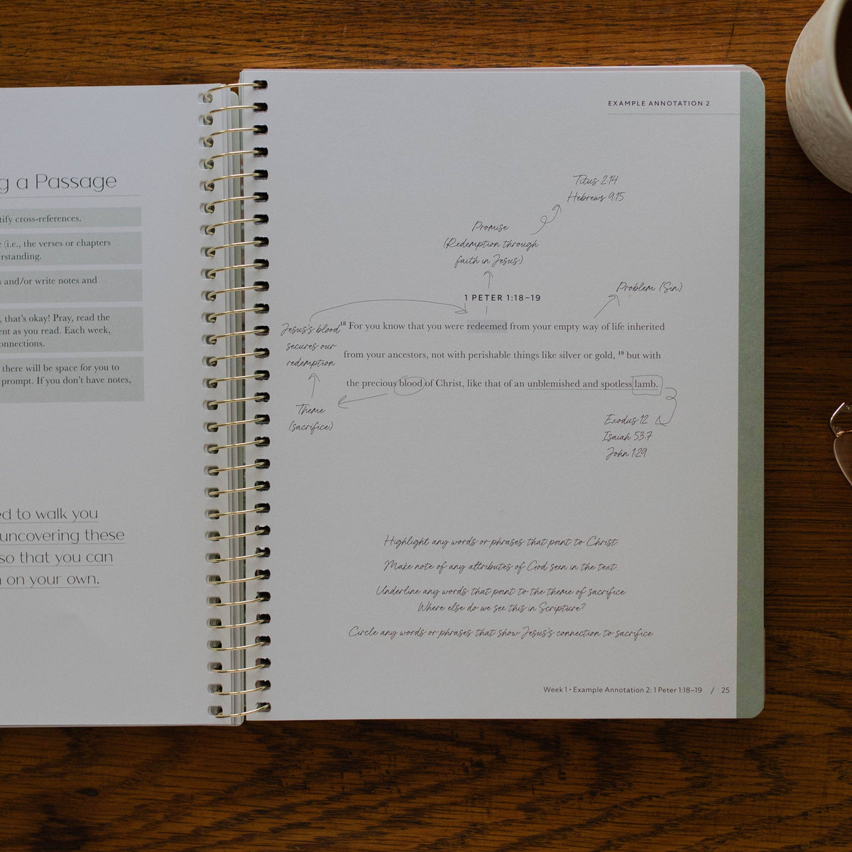 Christ in All of Scripture | Volume 1 Bible Study