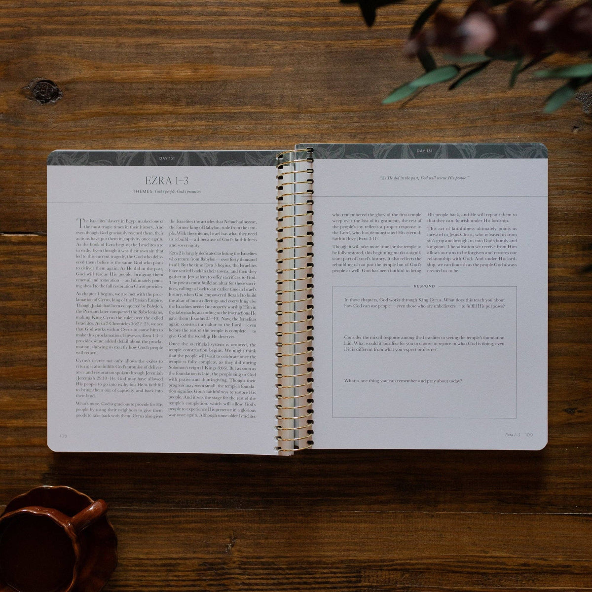 A Year in the Bible | Volume 2 Bible Study