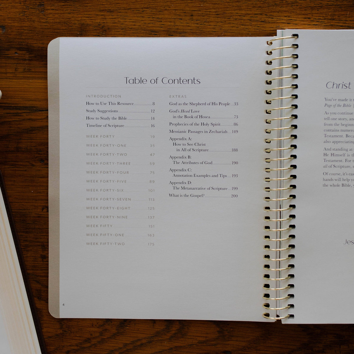 Christ in All of Scripture | Volume 4 Bible Study 