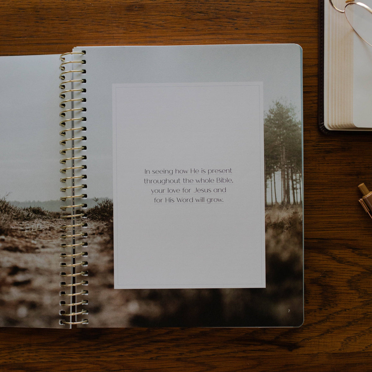 Christ in All of Scripture | Volume 3 Bible Study 