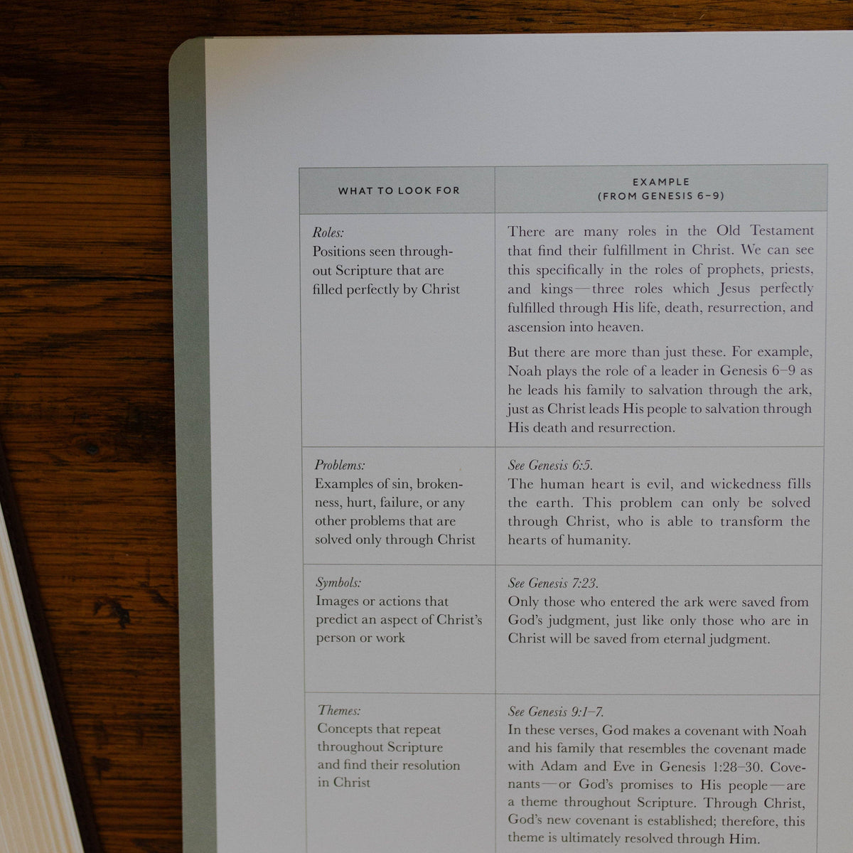 Christ in All of Scripture | Volume 1 Bible Study