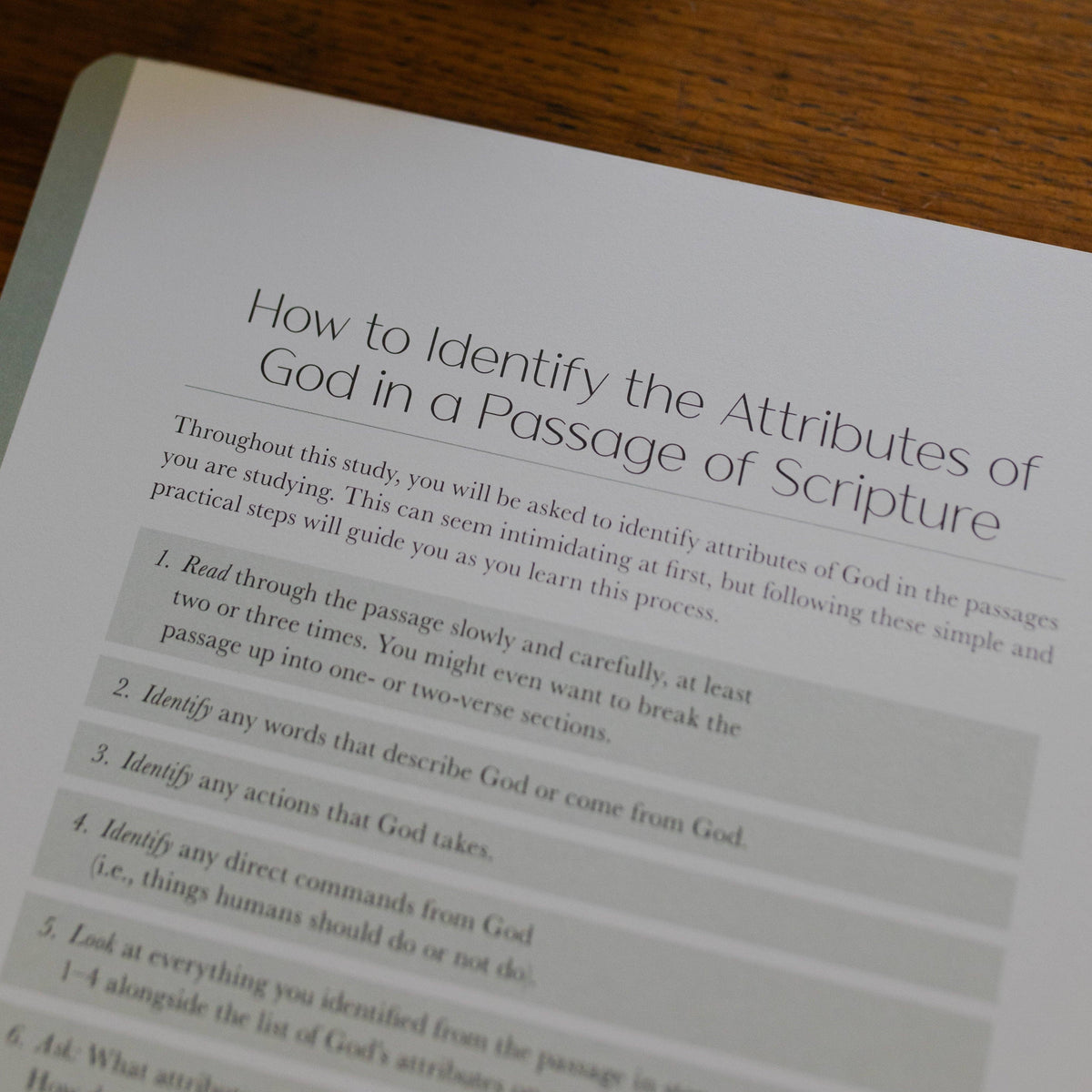 Christ in All of Scripture | Volume 1 Bible Study