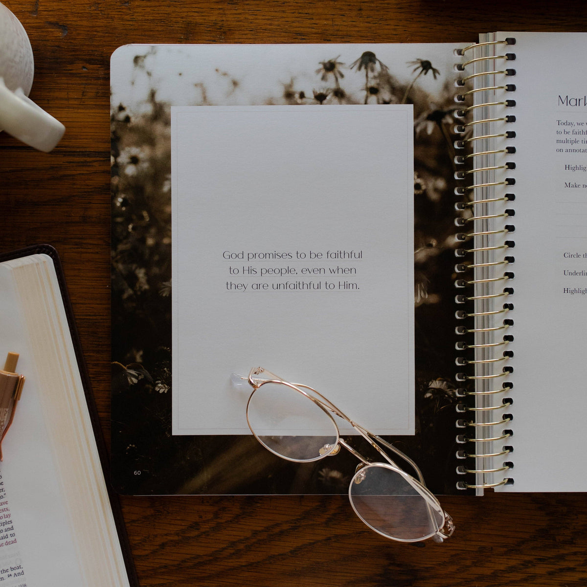 Christ in All of Scripture | Volume 4 Bible Study 