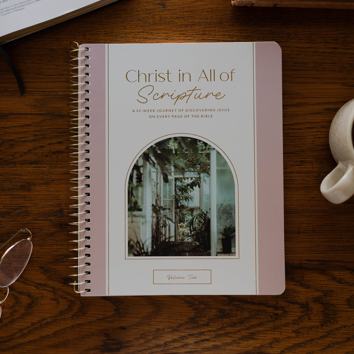 Christ in All of Scripture | Volume 2 Bible Study 